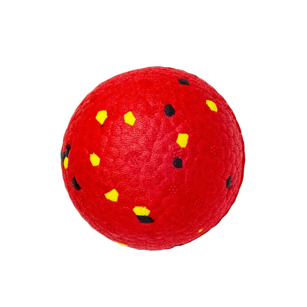 Flexball: Bola Ultra Resistente para Cães - Todos os Portes