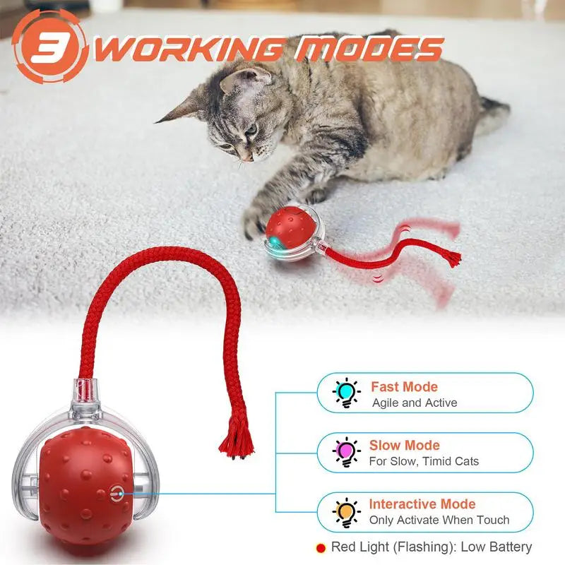 Bola Interativa Inteligente para Gatos e Cães – Com Cauda Falsa, Movimento Automático e Recarga USB